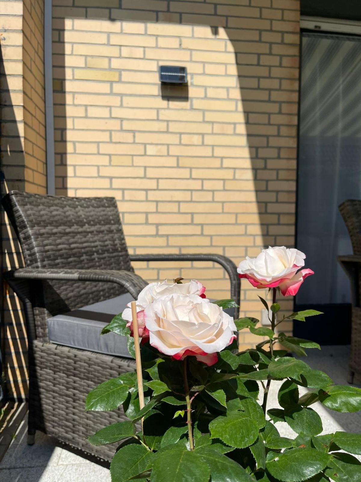 Ferienwohnung Strandoase Inklusive Terrasse Und Parkplatz - Sonnenseite Шарбойц Екстер'єр фото